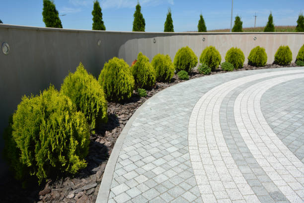 Best Driveway Paving Near Me  in Taylor Creek, OH